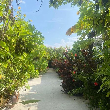 ホテル Coral Castle - Goidhoo Maldives エクステリア 写真