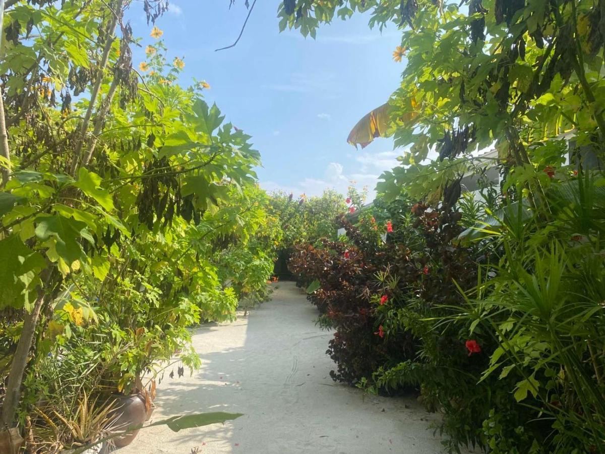 ホテル Coral Castle - Goidhoo Maldives エクステリア 写真